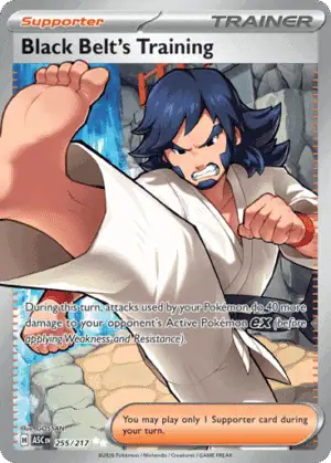 Black Belt's Training (ASC 255)