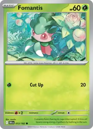 Fomantis (DRI 013)